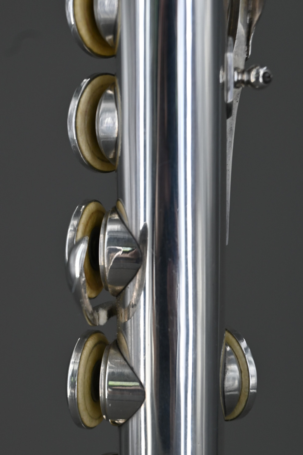 Flute-Leibl-9