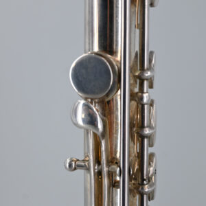 Flute – BETTONEY, Harry - Image 7