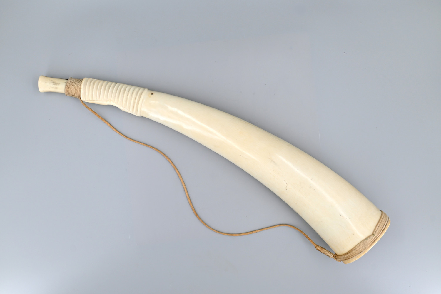 African_Ivory_Horn_VM-Collectables1
