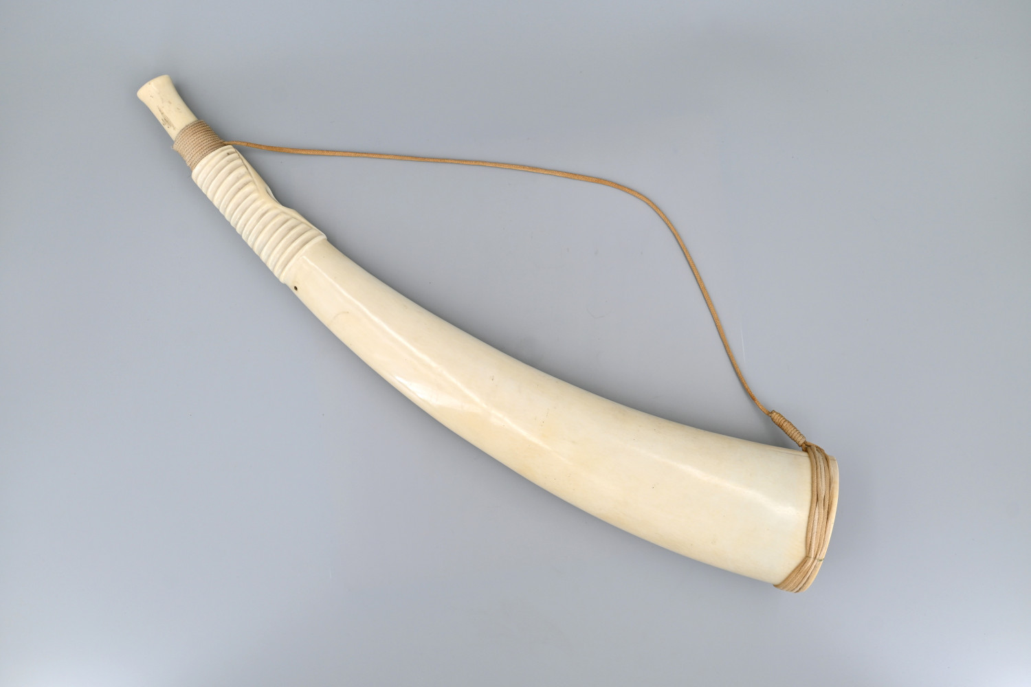 African_Ivory_Horn_VM-Collectables2