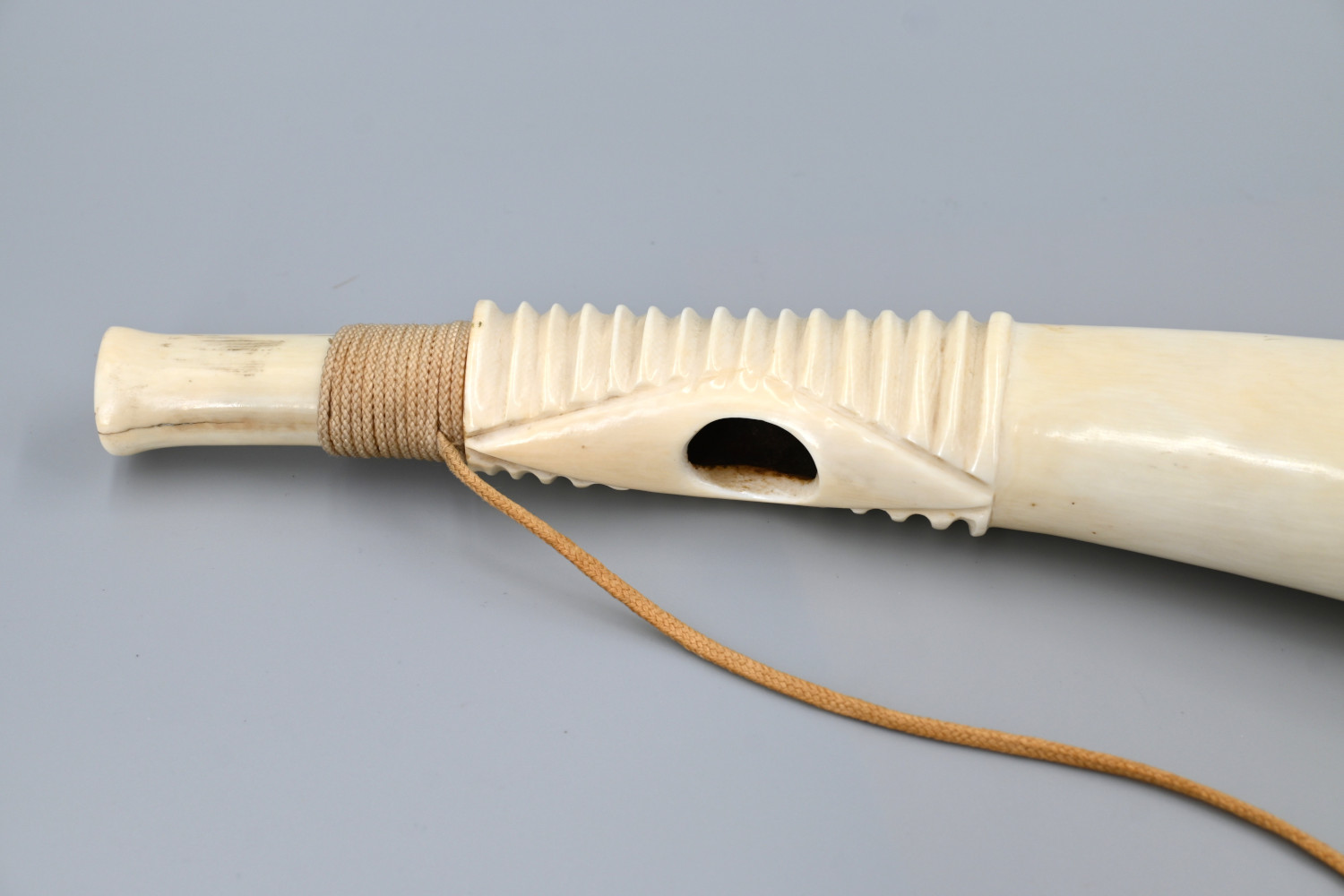 African_Ivory_Horn_VM-Collectables3