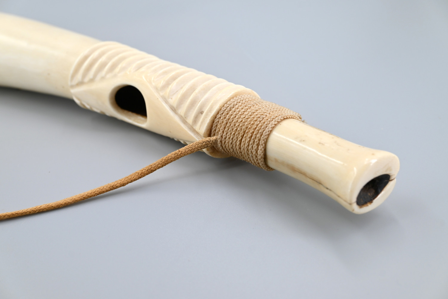 African_Ivory_Horn_VM-Collectables4