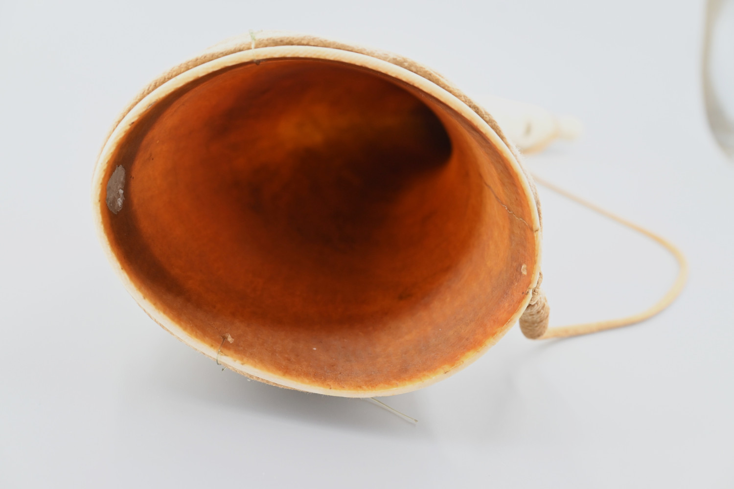 African_Ivory_Horn_VM-Collectables5