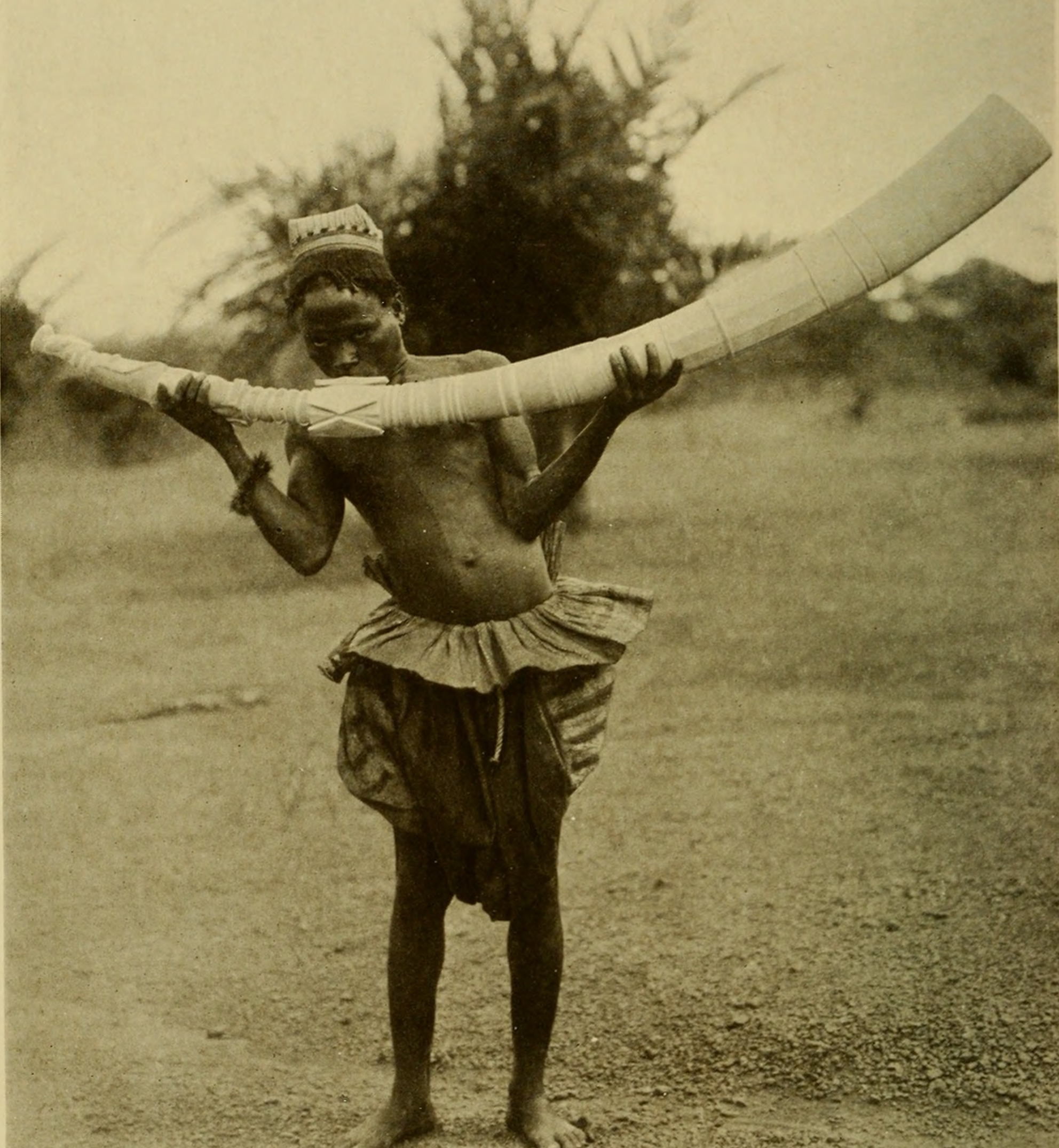 The_American_Museum_journal_(c1900-(1918))_(18161942371)